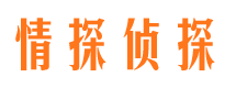 伊川侦探公司